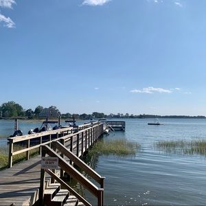 Meet your Posher, Molly